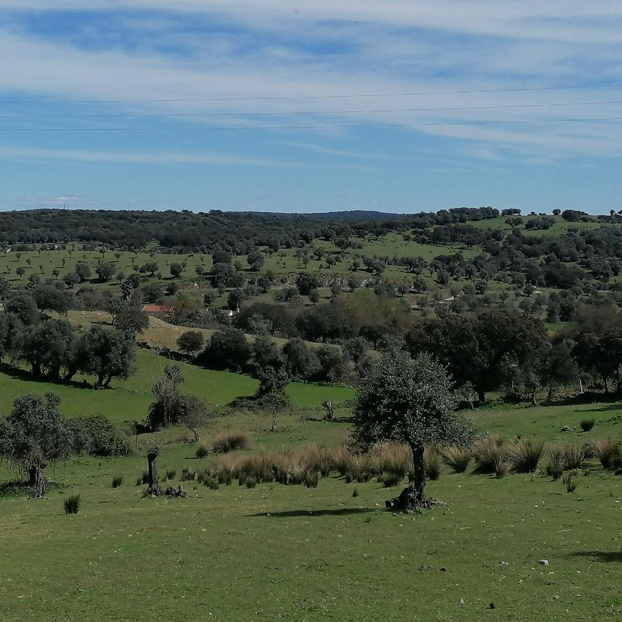 Casa Do Cabeco - Termas Da Sulfurea Villa Cabeço de Vide Eksteriør bilde